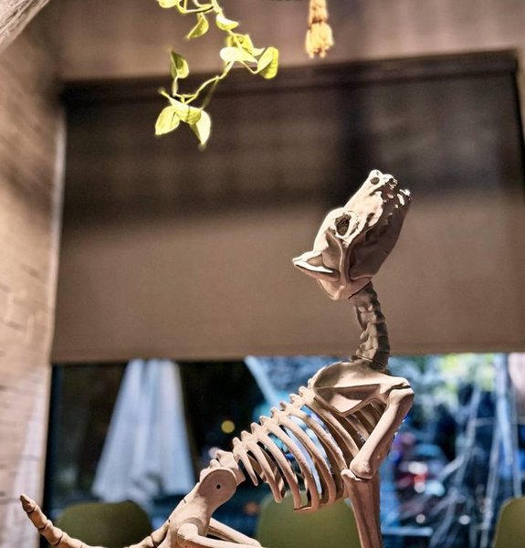 Protsiuk Startup Party.